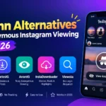 Best Imginn Alternatives
